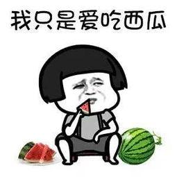 娱乐体育吃瓜圈