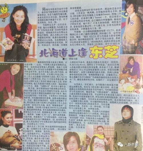 高贵的娱乐吃瓜