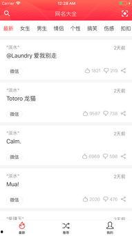 吃瓜娱乐网名大全图片,趣味横生的网络世界